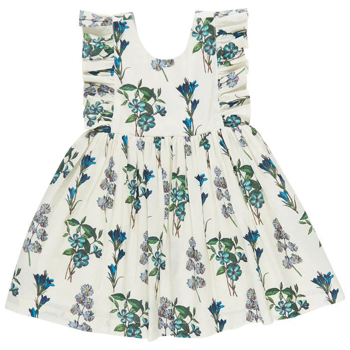 Pink Chicken Blue Botanical Marceline Dress