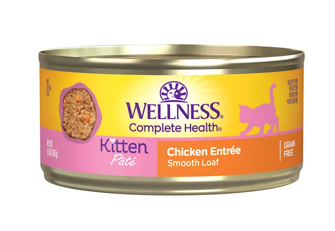    - Outdoor cat food  Wellness Complete Health Chicken Kitten Cat Food 3oz