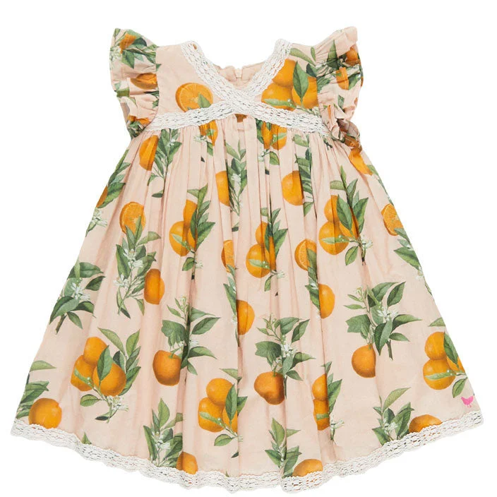 Pink Chicken Pink Botanical Oranges Katherine Dress