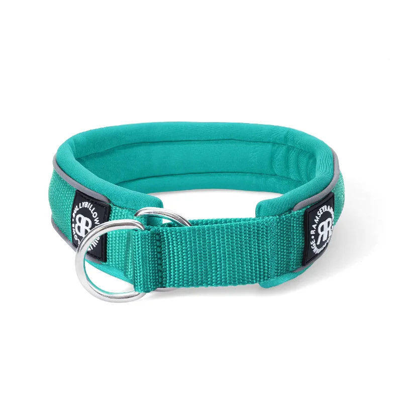 4cm Slip on Collar | Foam Padded - Turquoise